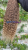 20250719_193646_0000.png