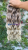 20250811_172910_0000.png
