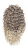 20251005_110758_0000.png