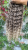20251005_110923_0000.png