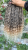 20251005_111519_0000.png