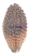 20251017_124349_0000.png