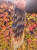 20251017_133713_0000.png