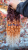 20251020_165905_0000.png