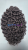 20260103_111134_0000.png