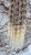 20260111_093427_0000.png