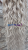 20260127_134826_0000.png
