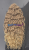 20260127_140259_0000.png