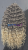 20260127_140738_0000.png