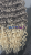 20260127_140808_0000.png
