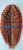 20260220_183548_0000.png