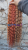 20260310_205201_0000.png