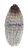 20260310_210205_0000.png