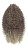 20260324_124510_0000.png