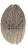 20260324_133116_0000.png