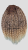 20260324_164619_0000.png