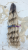 20250504_233726_0000.png
