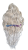 20250504_234401_0000.png