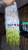 20250521_175640_0000.png