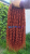 20250526_171643_0000.png