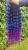 20250627_161148_0000.png
