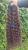 20250627_162130_0000.png