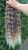 20250701_232301_0000.png