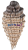 20250703_190039_0000.png
