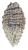 20250703_191241_0000.png