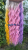 20250703_182000_0000.png